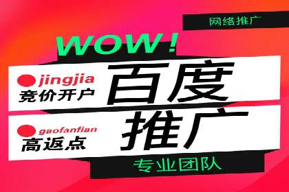 网络推广竞价策略案例分析